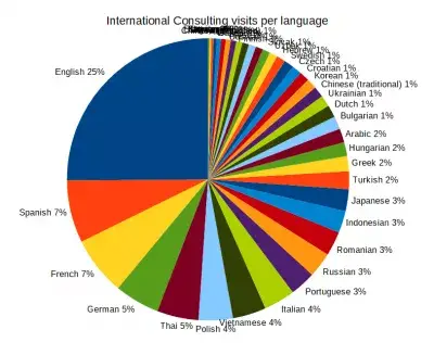 SEO For Multiple Countries [18 Expert Recommendations] : Language visit share using the best SEO for multiple countries strategy