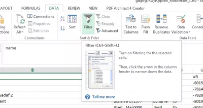 Fájdalmatlan Excel egyedi automatikus szűrő több mint 2 kritériumon : Alkalmazzon szabványos szűrőt