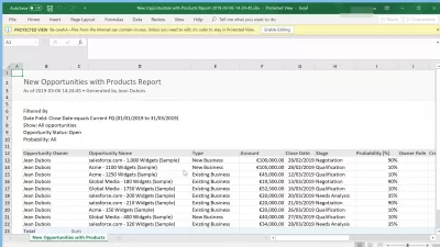 Hoe kan ik gegevens van SalesForce exporteren naar Excel? : Voorbeeld van export van geformatteerde gegevens