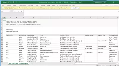 Как да експортирате контакти от SalesForce Lightning? : Контактите, експортирани от Salesforce Lightning в електронната таблица на Excel