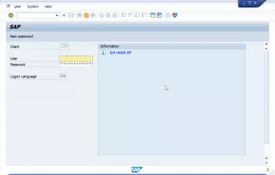 Přidejte server do SAP GUI 740 ve 3 jednoduchých krocích : Přihlášení uživatele v rozhraní GUI SAP 740