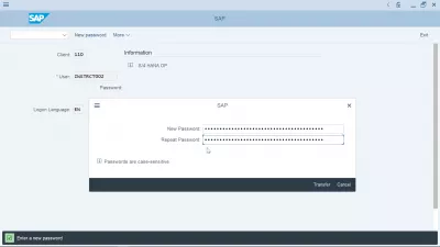 Як змінити пароль в SAP? : З'явиться спливаюче вікно нового пароля