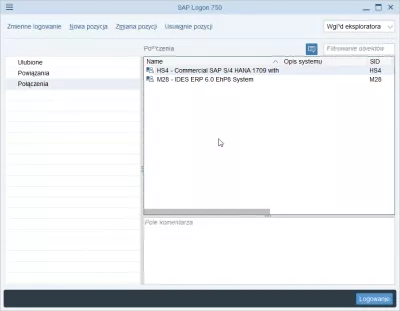 შეცვალეთ SAP NetWeaver შესვლის ენა 2 მარტივ ნაბიჯში : SAP შესვლა პოლონური