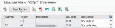 Vytváranie kódu mesta SAP : Vytvorte nový záznam v zobrazení zoznamu kódov mesta