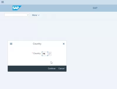 Alocarea codului companiei SAP în țară în 3 pași simpli : Selecția codului țării