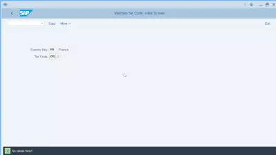 SAP Şirkətinin kodunu ölkəyə 3 asan addımda təyin etmək : Vergi kodunu qoruyun initial screen vergi kodu selection