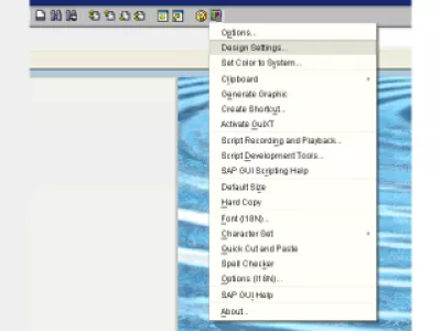 Paano baguhin ang kulay sa SAP GUI : Larawan 2: Mga setting ng dagta na Disenyo