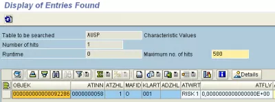 מצא סיווג חומר בSAP : איור 4: טבלה של SAP, AUSP