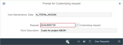 Cómo crear una solicitud de personalización en SAP : Solicitud de personalización entered in prompt for solicitud de personalización