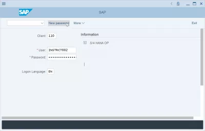 Làm Cách Nào Để Thiết Lập Lại Và Thay Đổi Mật Khẩu SAP? : Nút mật khẩu mới trên màn hình đăng nhập SAP