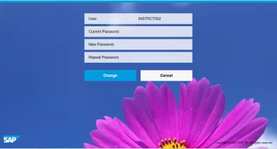 Come Resettare E Cambiare La Password SAP? : Interfaccia di modifica della password SAP FIORI