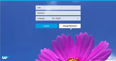 Hur Återställer Du Och Ändrar SAP-Lösenordet? : SAP FIORI inloggningsgränssnitt och lösenordsändringsalternativ