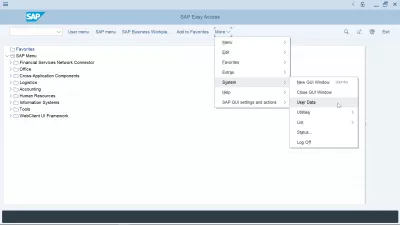 Come Resettare E Cambiare La Password SAP? : Menu Dati utente nell'interfaccia della GUI SAP