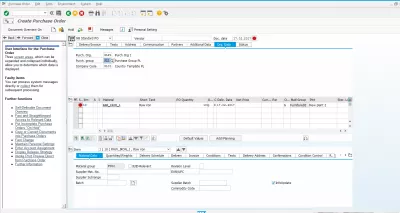 ME21N skep bestelling in SAP : Aankoop bestelling skepping organisatoriese meester data seleksie in SAP bestelling tcode ME21N