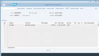 Cerere de ofertă: Creați cu ușurință un RFQ în SAP folosind ME41 : Display RFQ: imagine de ansamblu a articolului