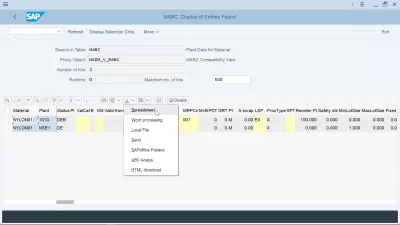 SAP Come Esportare In Un Foglio Di Calcolo Excel? : Esportazione di dati SAP in opzione di Excel