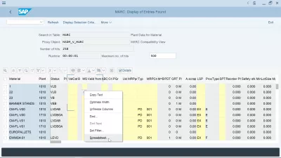 Dagta Kung Paano I-Export Sa Excel Spreadsheet? : Ang SAP export na spreadsheet ng default na format ng format: mag-right click sa isang ulat, piliin ang pagpipilian ng spreadsheet upang baguhin ang default na format ng pag-export