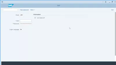 د SAP تطبیق پړاوونه : پروژه د SAP تطبیق مرحلو وروسته پلي کیږي