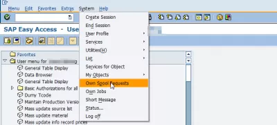 Come esportare report SAP in Excel in 3 semplici passaggi? : SAP Easy access possiede il proprio menu di richieste di spooling