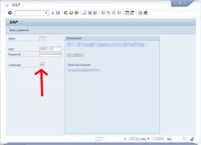 تغيير لغة SAP لواجهة SAP بعد تسجيل الدخول : تغيير لغة تسجيل الدخول إلى SAP لأن تغيير لغة SAP أثناء الجلسة غير ممكن