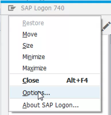 로그인 후 SAP 인터페이스의 SAP 변경 언어 : SAP 로그온의 옵션 메뉴 열기