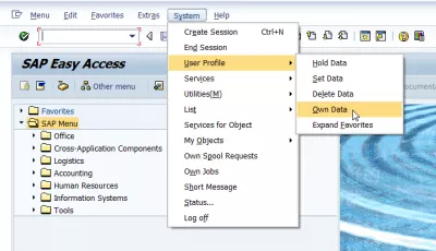 로그인 후 SAP 인터페이스의 SAP 변경 언어 : SAP GUI 언어 설정