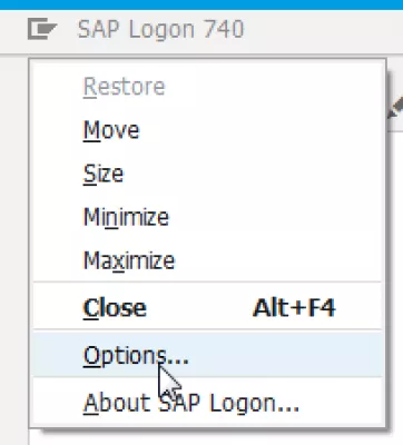 Де Зберігається Файл Saplogon.Ini У Windows 10? : SAP Logon відкрийте меню Параметри… меню SAPlogon.ini в SAP 740