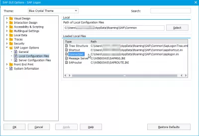 Kur Windows 10 Tiek Glabāts Fails Saplogon.Ini? : Vietnes SAP konfigurācijas failu atrašanās vieta SAPlogon.ini SAP 740