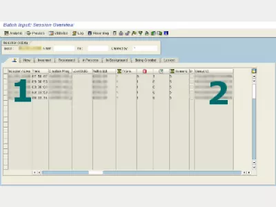 Programació per lots de SAP LSMW : Figura 2: Sessió d'entrada