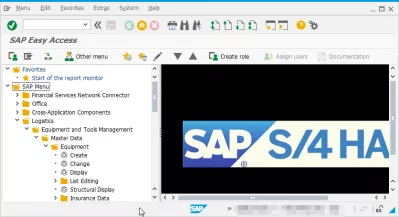 Ցուցադրել տեխնիկական անունները SAPում : SAP Easy access մենյու, առանց գործարքի կոդերի ցուցադրման