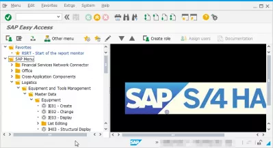 Mostra noms tècnics a SAP : Com mostrar tcode al menú SAP