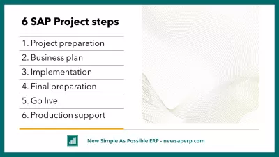 સફળ એસએપી પ્રોજેક્ટ મેનેજમેન્ટ: 6 પગલાંઓ