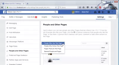 How to see who likes your facebook page