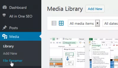 Wordpress massal mengubah nama gambar untuk optimasi SEO : Opsi Renamer File untuk mengganti nama gambar secara massal