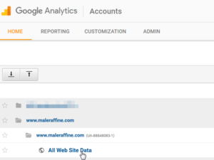 Google Analytics how to add a website to your account and get a Tracking ID : Default view All Web Site Data