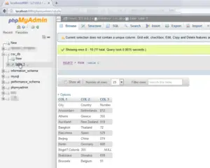 How to import an Excel file in a MySQL database in PHPMyAdmin : Database display