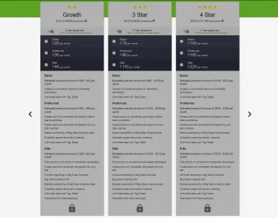 Ezoic Premium Review – Is It Worth It? : Ezoic premium plans with manually selected premium advertisers for sites generating more than $100 per month and corresponding extra earning