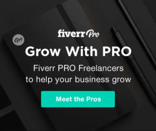 Fiverr for online consulting and digital services