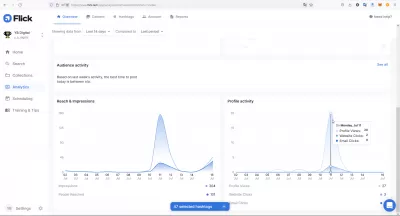 Complete Flick Review: Optimize Your Instagram Account Management : Profile activity chart with profile visits and views detailed analytics