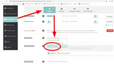 Ezoic Integration Guide - Kolik to stojí? 0! : NAMECHEAP Vlastní název serverů v opce CustomDNS