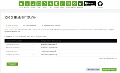 Guide d'intégration Ezoic - Combien ça coûte? 0! : Configuration de DNS Ezoic