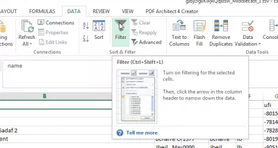 Autofiltro personalizado sin dolor de Excel en más de 2 criterios : Aplicar filtro estándar.