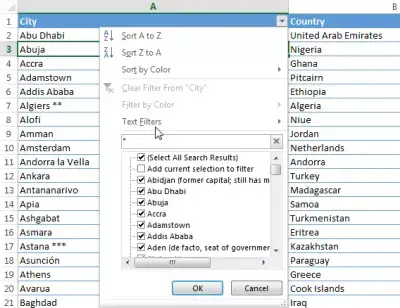 Filtro jolly di Excel : Utilizzo di caratteri jolly Excel * asterisco