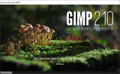 Como mudar o idioma do GIMP? : Interface GIMP iniciando em outro idioma