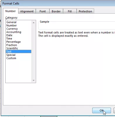 Comment faire un vlookup dans Excel? Excel aide vlookup : Fig04 Sélection du format de cellule de texte