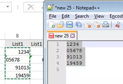 Nola egin bisitaldi bat Excel-en? Excel laguntzaren ikuspegia : Fig05 Kopiatu itsatsi balioak testu editore batean