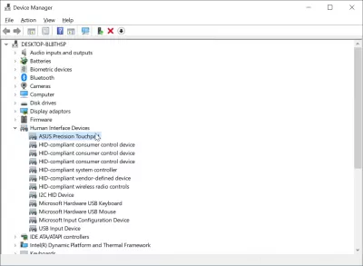 ഒരു എസ്സസ് ലാപ്ടോപ്പ് അപ്രാപ്തമാക്കിയ ടച്ച്പാഡ് എങ്ങനെയാണ് പരിഹരിക്കേണ്ടത്? : ഉപകരണ മാനേജറിൽ, ASUS ലാപ്ടോപ്പ് ടച്ച്പാഡ് പ്രവർത്തനരഹിതമാക്കുക