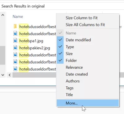 Windows search show full path : Windows explorer columns displayed