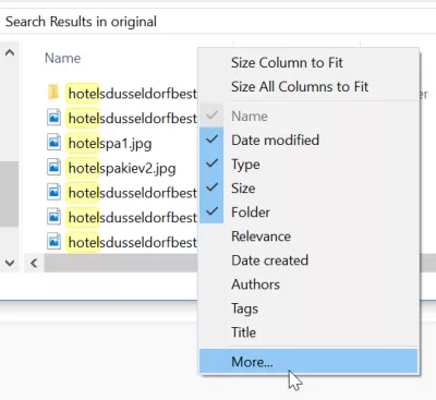 Windows meklēšana rāda pilnu ceļu : Parādīti Windows Explorer kolonnas