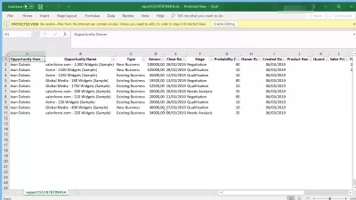 Как мога да експортирам данни от SalesForce за Excel? : Данните, изнесени от SalesForce към електронна таблица на Excel